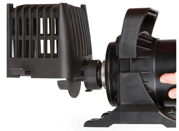 Atlantic TT Series Pumps