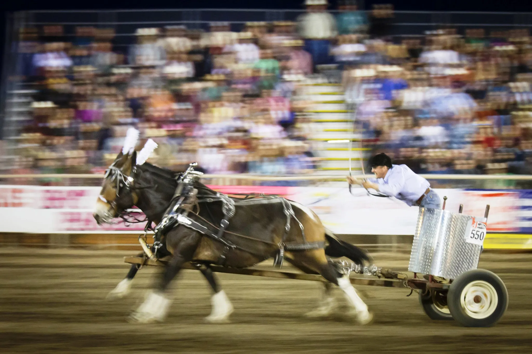 Bishop Mule Days 2013