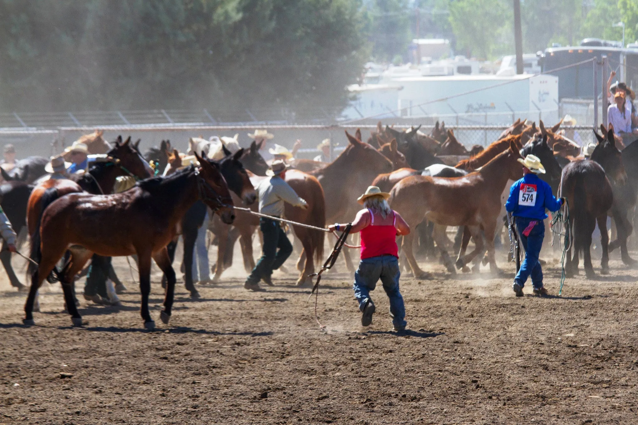 Bishop Mule Days 2013