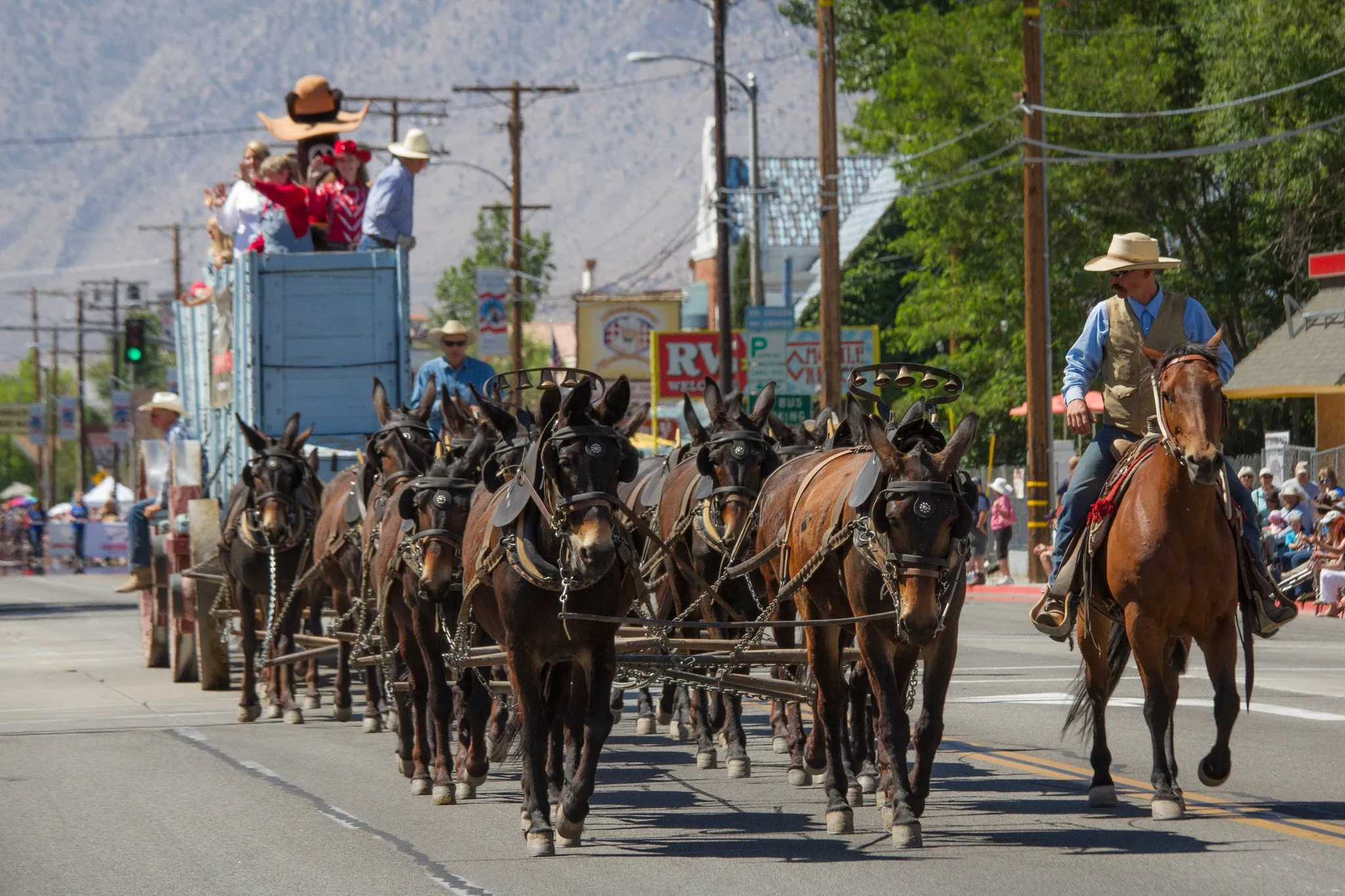 Bishop Mule Days 2013