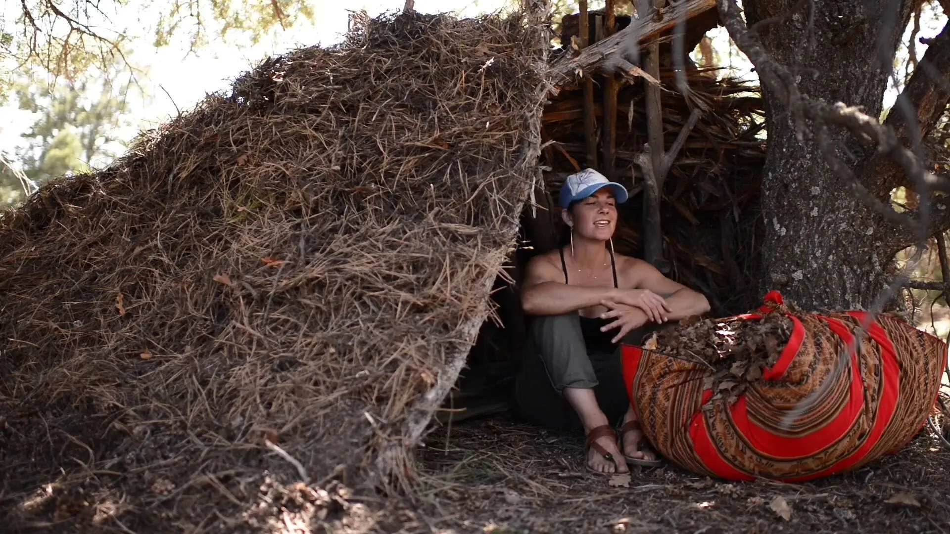 Into the Desert with Kirsten Rechnitz DVD   Free Streaming Limited Offer