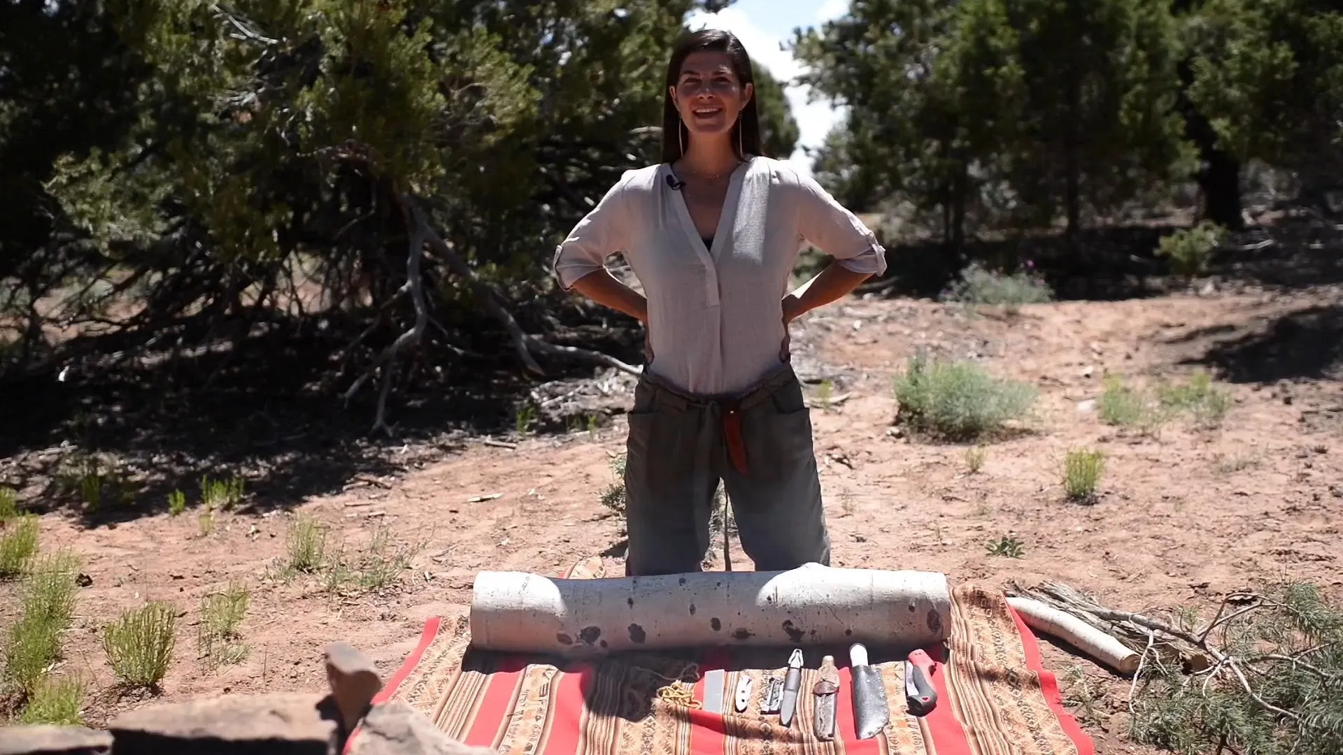 Into the Desert with Kirsten Rechnitz DVD   Free Streaming Limited Offer
